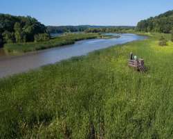 The garden area also includes Cootes Paradise or Dundas Marsh. This area is the western end of Lake Ontario. This area not only contains native fish s